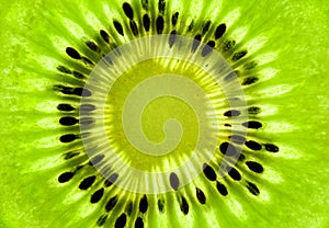 Fresh Kiwi background / SuperMacro / back lit