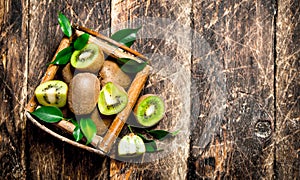 Fresh kiwi fruit in the basket.