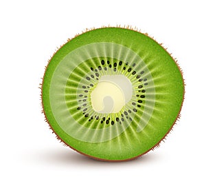 Fresh kiwi fruit Slice
