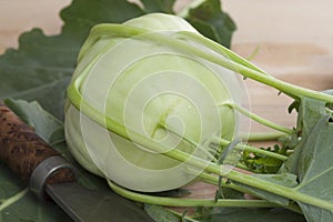 Fresh Kohlrabi