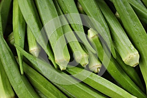 Fresh Lady\'s finger or Okra