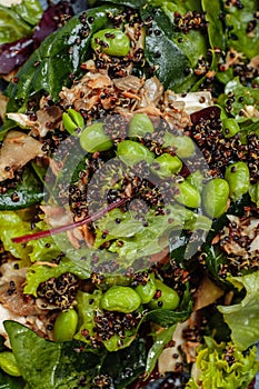 Fresh lamb lettuce salad with avocado, cucumber, salmon, cherry tomatoes.