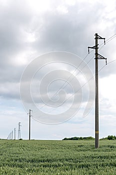 A fresh landscape of a line of electric poles with cables of electricity in a green wheat field with a forest in background