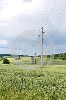 A fresh landscape of a line of electric poles with cables of electricity in a green wheat field with a forest in background