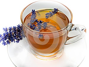 Fresh Lavendel Tea white background