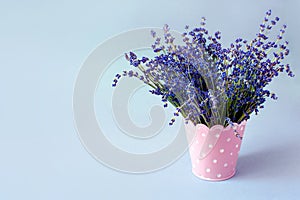 Fresh lavender in blue jug on white table