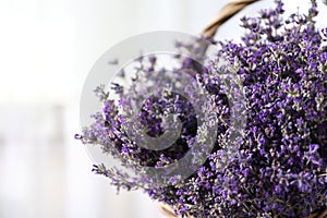 Fresh lavender flowers in basket on blurred background, closeup. Space for