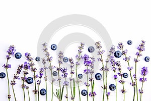 Fresh lavender flowers and blueberries on a white background. Lavender flowers and blueberries mock up. Copy space.