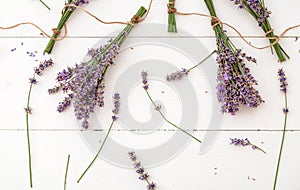 Fresh lavender flowers and bouquets are dried on white wooden background. Bunches of lavender flowers dry. Apothecary herbs for photo
