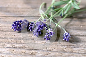 Fresh lavender flowers on wooden background