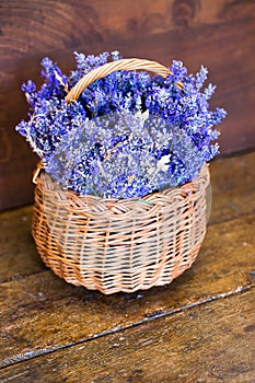 Fresh lavender (Lavandula angustifolia) in a wicker basket on a wood table