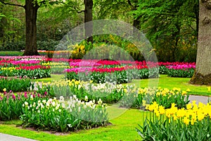 Fresh lawn with flowers