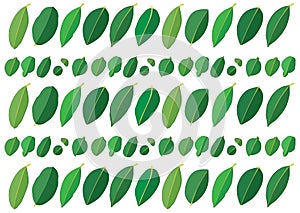 Green leaves pattern img