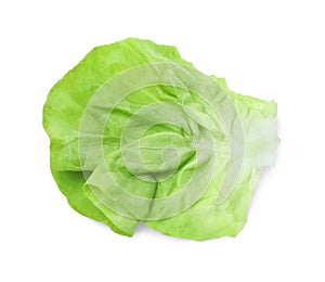 Fresh leaf of green butter lettuce isolated on white