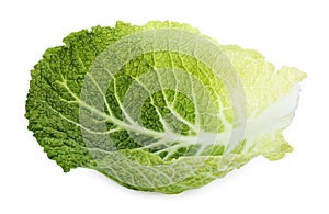 Fresh leaf of savoy cabbage isolated on white