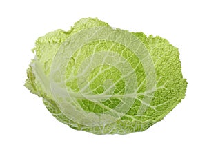 Fresh leaf of savoy cabbage isolated on white