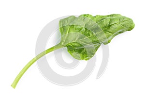 Fresh leaf of spinach isolated on white,