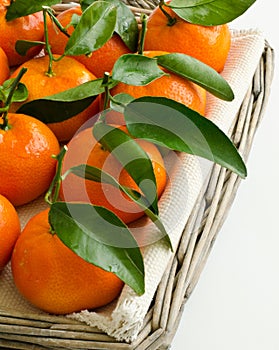 Fresh leafy clementines