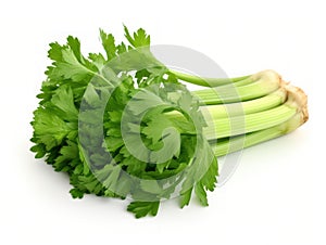 Fresh leaves of celery isolated over a white background