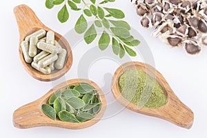 Fresh leaves, powder, capsules and moringa seeds - Moringa oleifera
