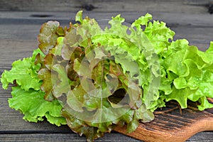 Fresh leaves of salade: green iceberg salad, lettuce oakleaf, batavia mixed