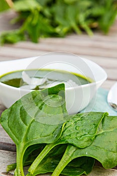 Fresh leaves of spinach