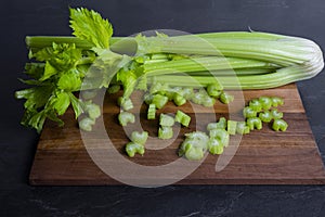 Fresh leaves and stems of celery on dark background