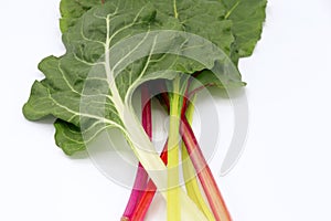 fresh leaves Swiss Chard or Rainbow Chard vegetable isolate on white backgrund. Chard is distinguishable by the color of the chard