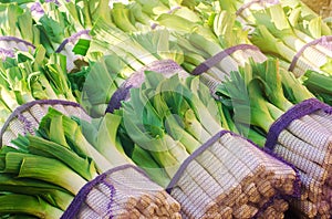 Fresh leek in net bags ready for sale. Harvest. Harvesting. Agriculture and farming. Freshly picked. Agribusiness. Agro industry.