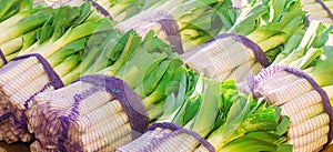 Fresh leek in net bags ready for sale. Harvest. Harvesting. Agriculture and farming. Freshly picked. Agribusiness. Agro industry. photo