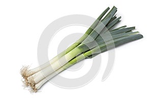 Fresh leek stems photo