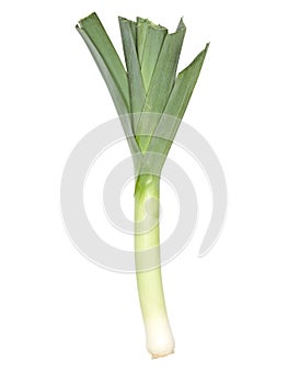 Fresh leeks