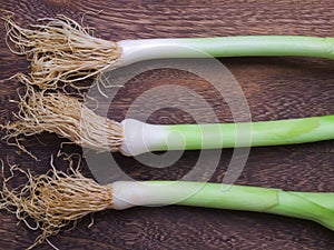 Fresh leeks
