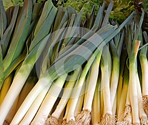 Fresh leeks