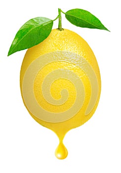 Fresh lemon