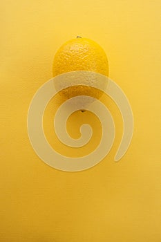 Fresh lemon on a bright yellow textured background with a place