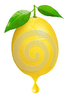 Čerstvý citron 