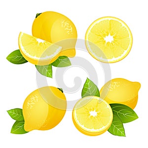 Fresh lemon fruit slice set. Collection of realistic juicy citrus with leaves vector illustration