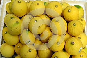 Fresh lemon fruit symmetrically to attract buyers at market stall photo