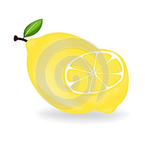 Fresh lemon fruits with leaf