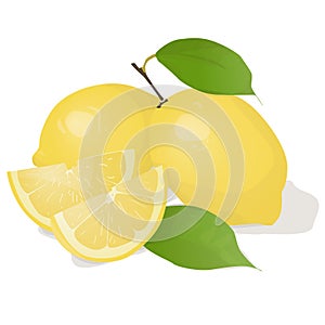 Fresh lemon fruits with leaf. Lemon vector illustration set. Whole, cut in half, sliced on pieces lemons.Lemon logo or icon