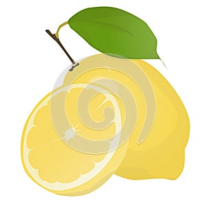 Fresh lemon fruits with leaf. Lemon vector illustration set. Whole, cut in half, sliced on pieces lemons.Lemon logo or icon