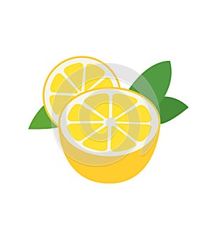 Fresh lemon fruits vector illustrations isolated on white