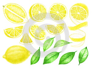 Fresh Lemon fruits whole and sliced. Citrus with leaves isolated on white background. Watercolor hand drawn illustration