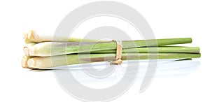 Fresh Lemon grass on a white background