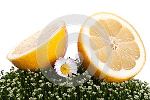 Fresh lemon on a green grass