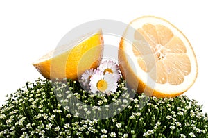 Fresh lemon isolated on a white background