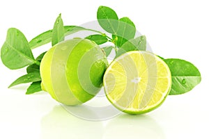 Čerstvý citrón vápno listy v biely 