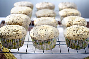 Fresh lemon poppy seed tart muffins