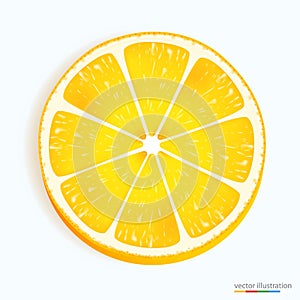 Fresh lemon slice icon on a white